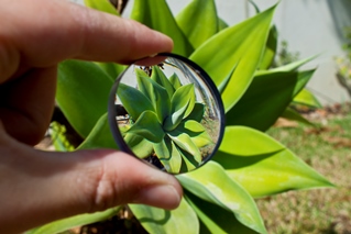 Example of a single divergent lens